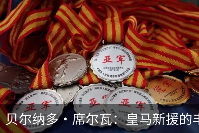 贝尔纳多·席尔瓦：皇马新援的丰富可能与挑战